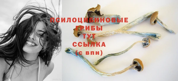 экстази Вяземский