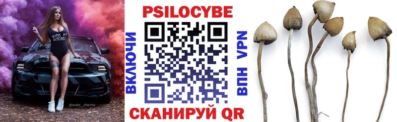 Псилоцибиновые грибы Psilocybine cubensis  купить   Дальнегорск 