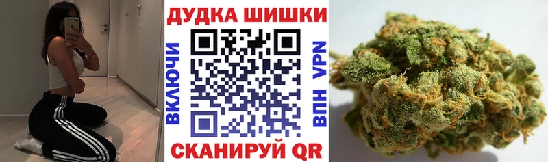 купить наркотик  Дальнегорск  Конопля OG Kush 